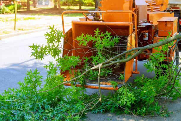 Lawn Grading and Leveling in Amberley, OH